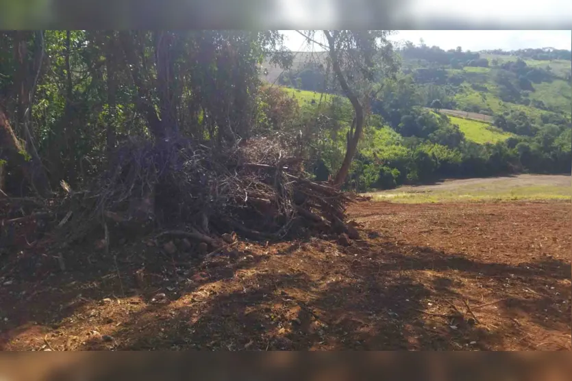  Desmatamento ilegal gera multa e embargo no Jacutinga em Ivaiporã 