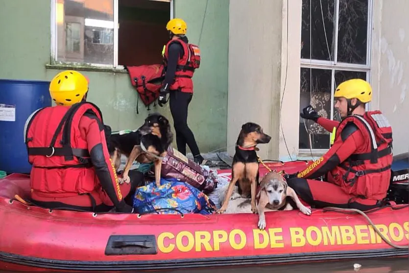  Bombeiros e Polícia Civil do PR encerram operação no Rio Grande do Sul 