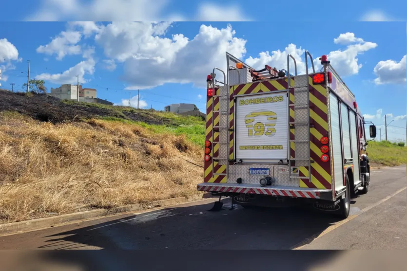 Incêndio ambiental mobiliza bombeiros; ocorrências do tipo disparam