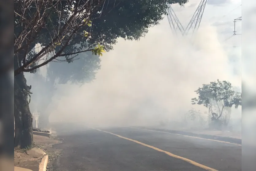 Incêndio atinge vegetação embaixo de torres de energia em Apucarana