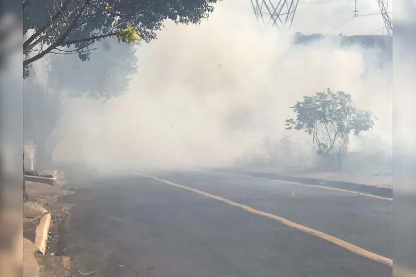 Incêndio atinge vegetação embaixo de torres de energia em Apucarana