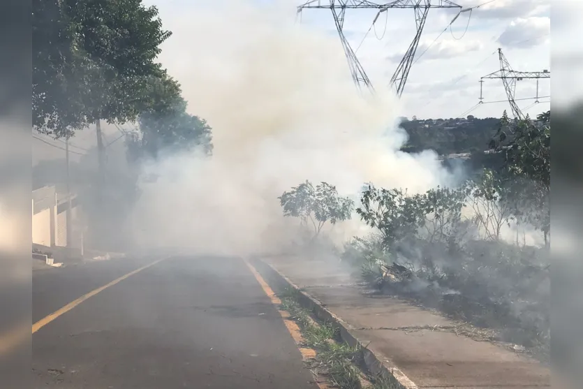 Incêndio atinge vegetação embaixo de torres de energia em Apucarana