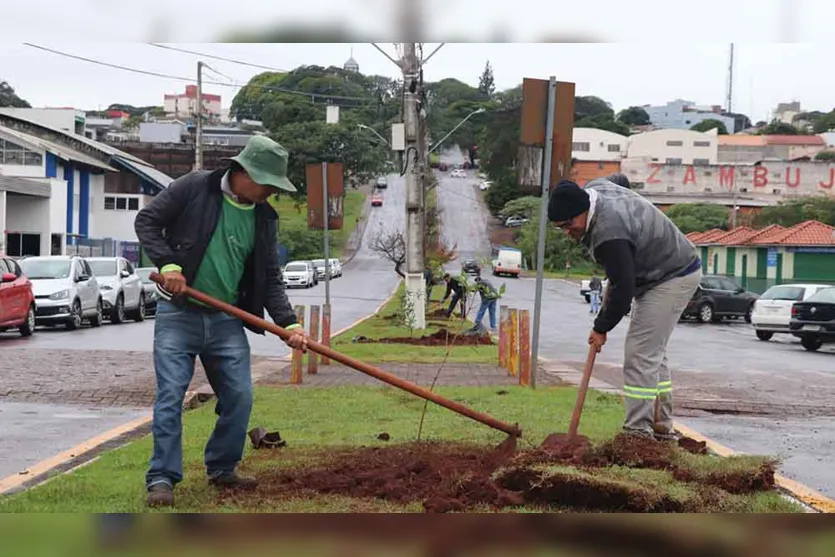  Prefeitura de Ivaiporã dá continuidade ao processo de sustentabilidade 