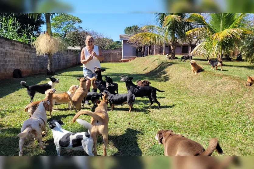 Professora de Apucarana cuida de mais de 100 cães em chácara