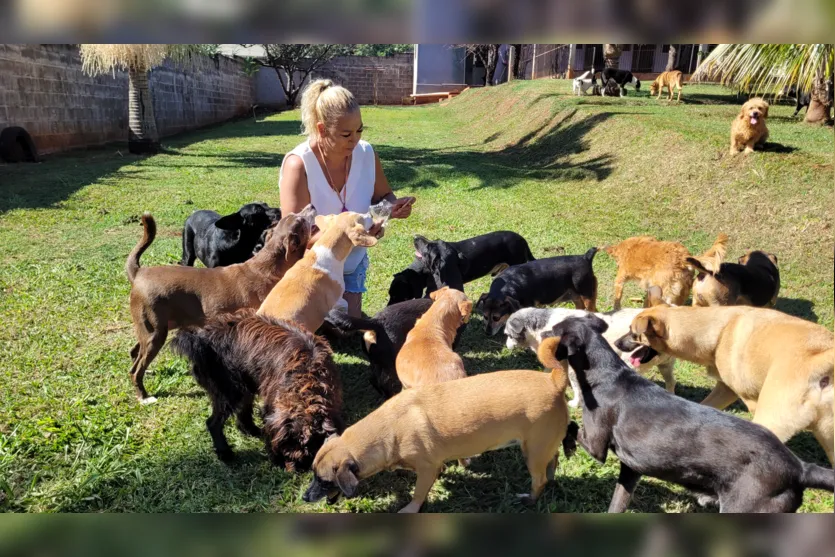 Professora de Apucarana cuida de mais de 100 cães em chácara