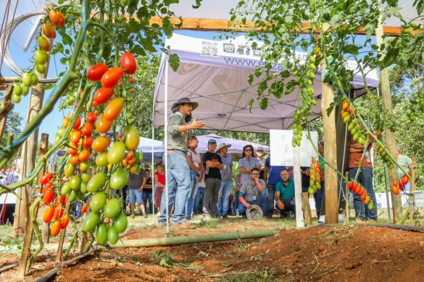  Propriedade conta com apoio de extensionistas do IDR-Paraná 