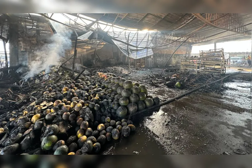 Comerciante perde tudo em incêndio na Ceasa: “Não sobrou nada”