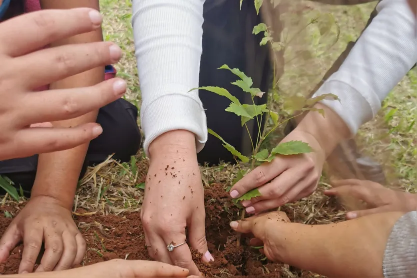  Apoio do Estado: startup de Maringá cria plataforma para compensação da pegada de carbono 