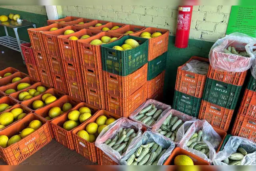  Central da Agricultura Familiar de Ivaiporã comemora crescimento 