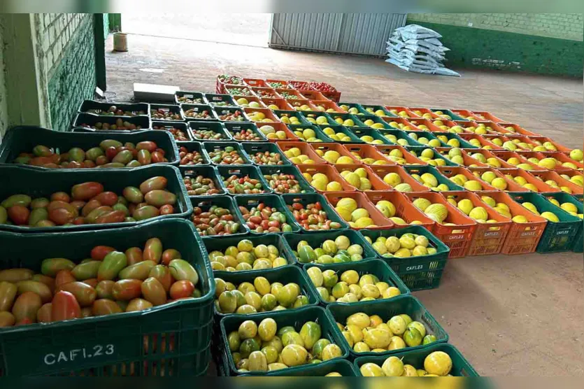  Central da Agricultura Familiar de Ivaiporã comemora crescimento 