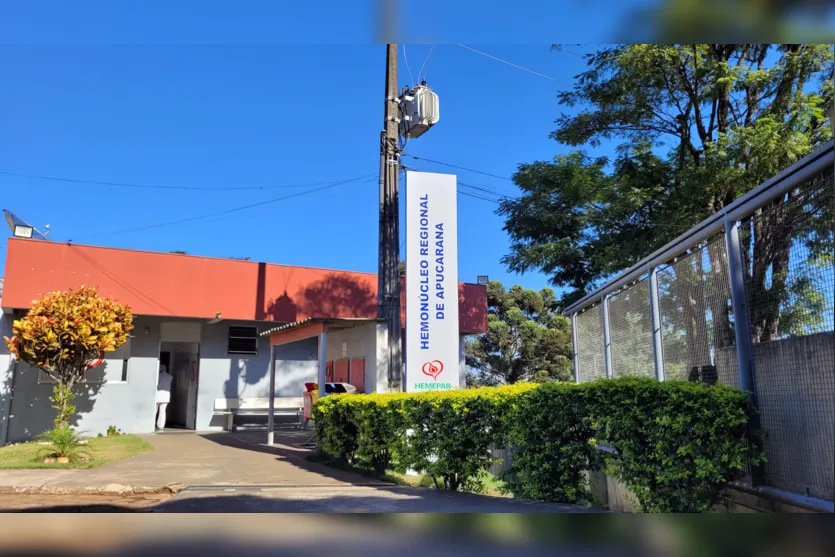 Dia Mundial do Doador de Sangue: tire suas dúvidas sobre o assunto