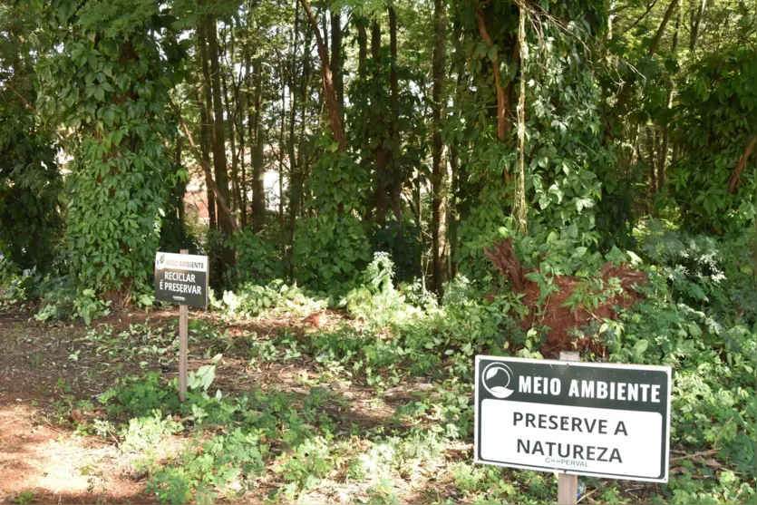 Jandaia do Sul realiza atividades alusivas à semana do Meio Ambiente