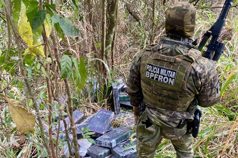 Operação Protetor: polícia apreende 1.350 kg de maconha no Paraná