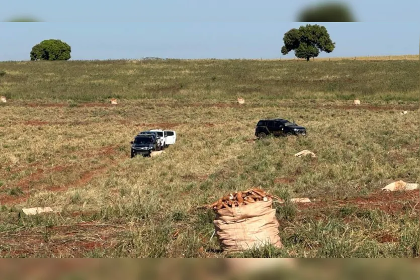  Trabalhadores foram resgatados em uma lavoura de mandioca 