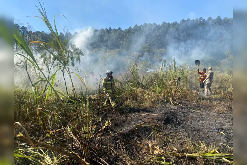 Fogo atinge tobogã de antigo parque aquático em Apucarana; veja