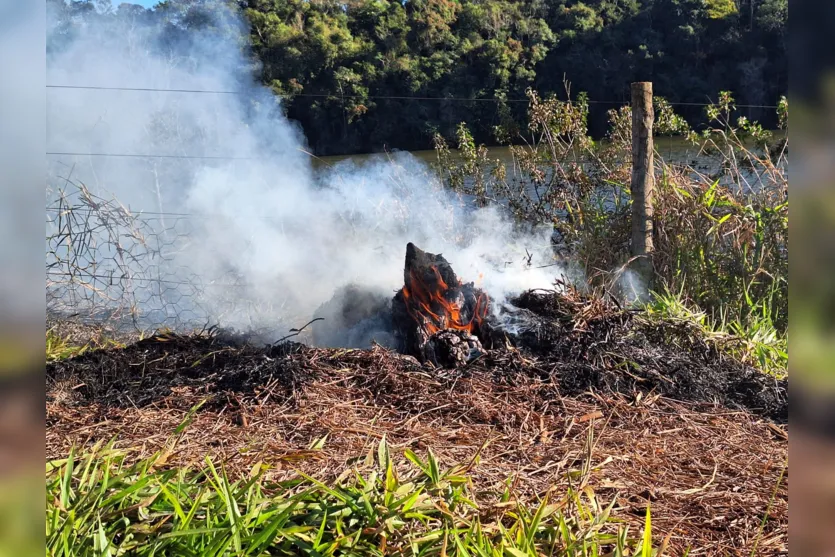  Fogo consome vegetação no Parque da Raposa e fumaça gera transtornos 