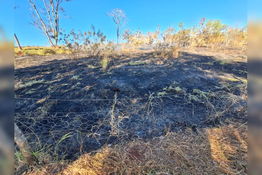 Fogo consome vegetação no Parque da Raposa e fumaça gera transtornos