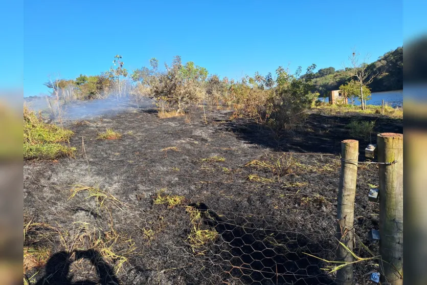 Fogo consome vegetação no Parque da Raposa e fumaça gera transtornos