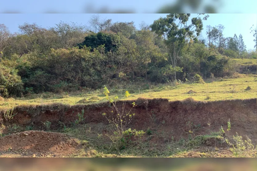 TNOnline foi ao local do desaparecimento de bebê; veja vídeos e fotos