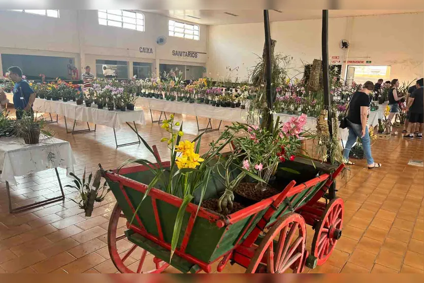  Exposição de Orquídeas em Jardim Alegre 