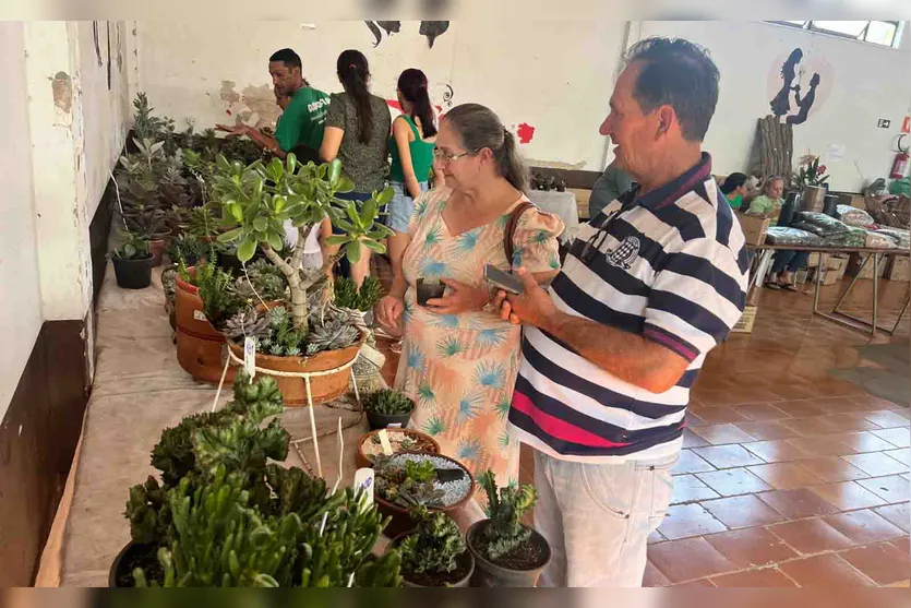  Exposição de Orquídeas em Jardim Alegre 