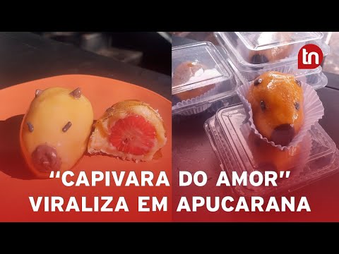 “Capivara do Amor” viraliza e impulsiona negócio de empresária no PR