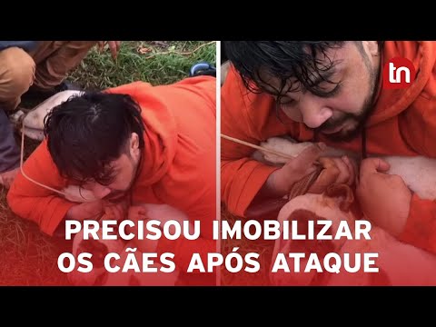 Lutador de Muay Thai é atacado e imobiliza dois pitbulls