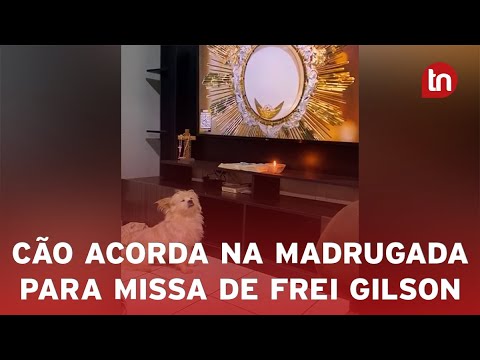 Cachorro acompanha tutoras nas orações de madrugada do Frei Gilson