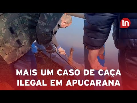 Meio Ambiente investiga caça ilegal de capivaras com flechas