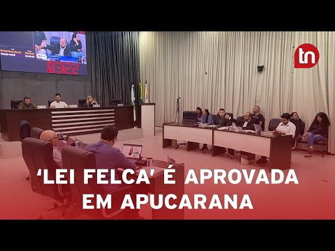 Câmara de Apucarana aprova projeto de ‘Lei Felca’ municipal