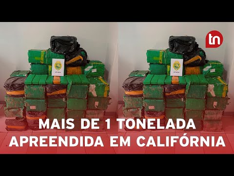 PM apreende mais de 1 tonelada de maconha em Califórnia