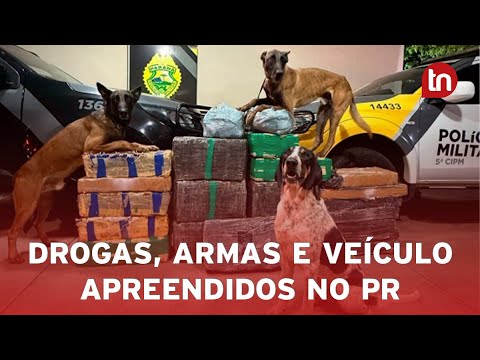PMPR apreende 430 quilos de drogas em ações distintas