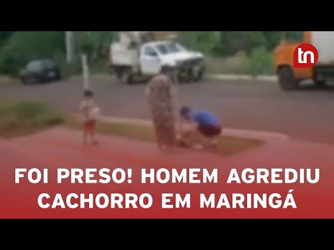 Homem é preso e multado em R$ 4 mil por agredir cachorro em Maringá