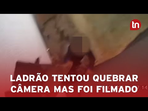 Ladrão tenta quebrar câmera para furtar fábrica e é flagrado