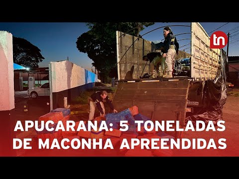 PRF apreende 5 toneladas de maconha entre Apucarana e Califórnia