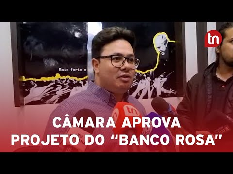 Câmara aprova projeto 'Banco Rosa' contra assédio em ônibus