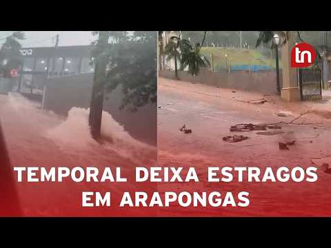 Temporal provoca enxurrada e queda de árvores em Arapongas