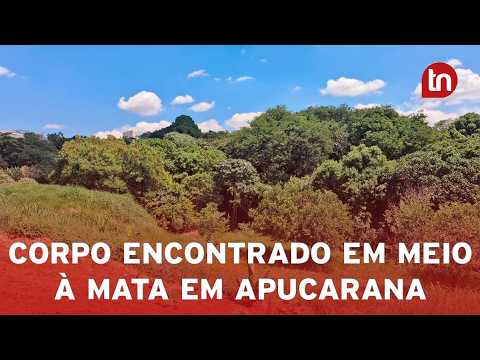 Corpo de homem é encontrado em mata; chave no bolso ligou carro abandonado