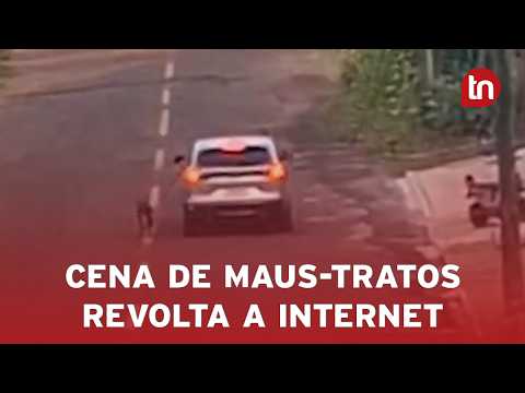 PCPR investiga motorista flagrado puxando cachorro pelo lado de fora de carro em movimento