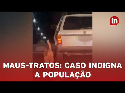 Polícia prende homem flagrado arrastando cachorro por corda no PR
