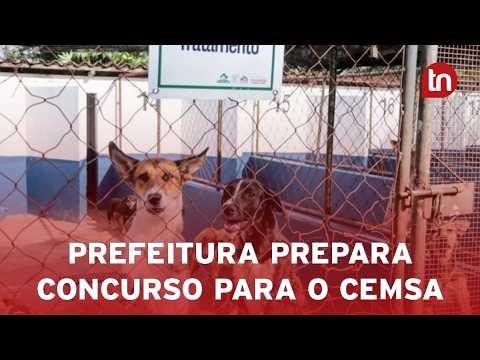 Prefeitura de Apucarana prepara concurso para contratar veterinários do Cemsa