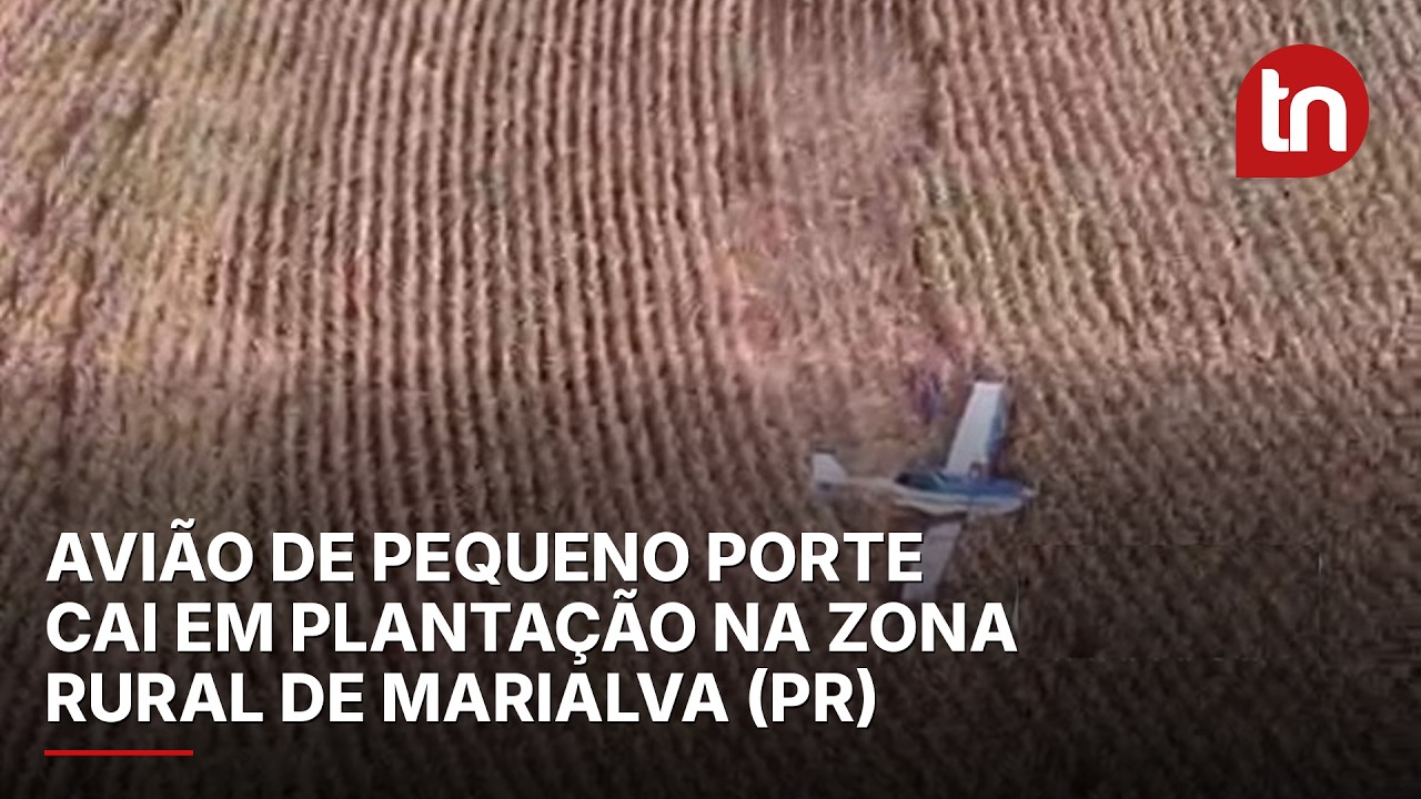 Avião de pequeno porte cai em plantação na zona rural de Marialva (PR)
