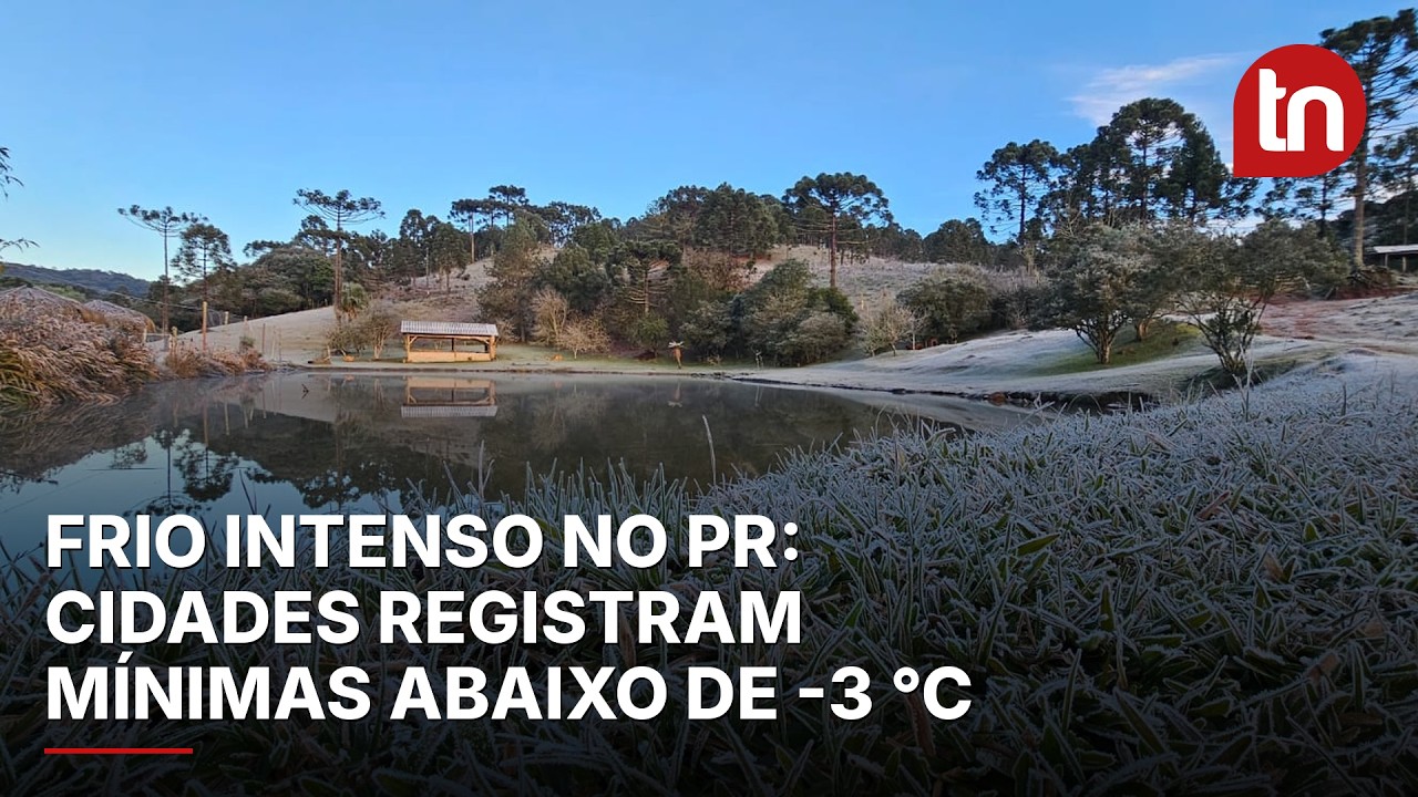 Frio intenso no PR: cidades registram mínimas abaixo de -3 °C