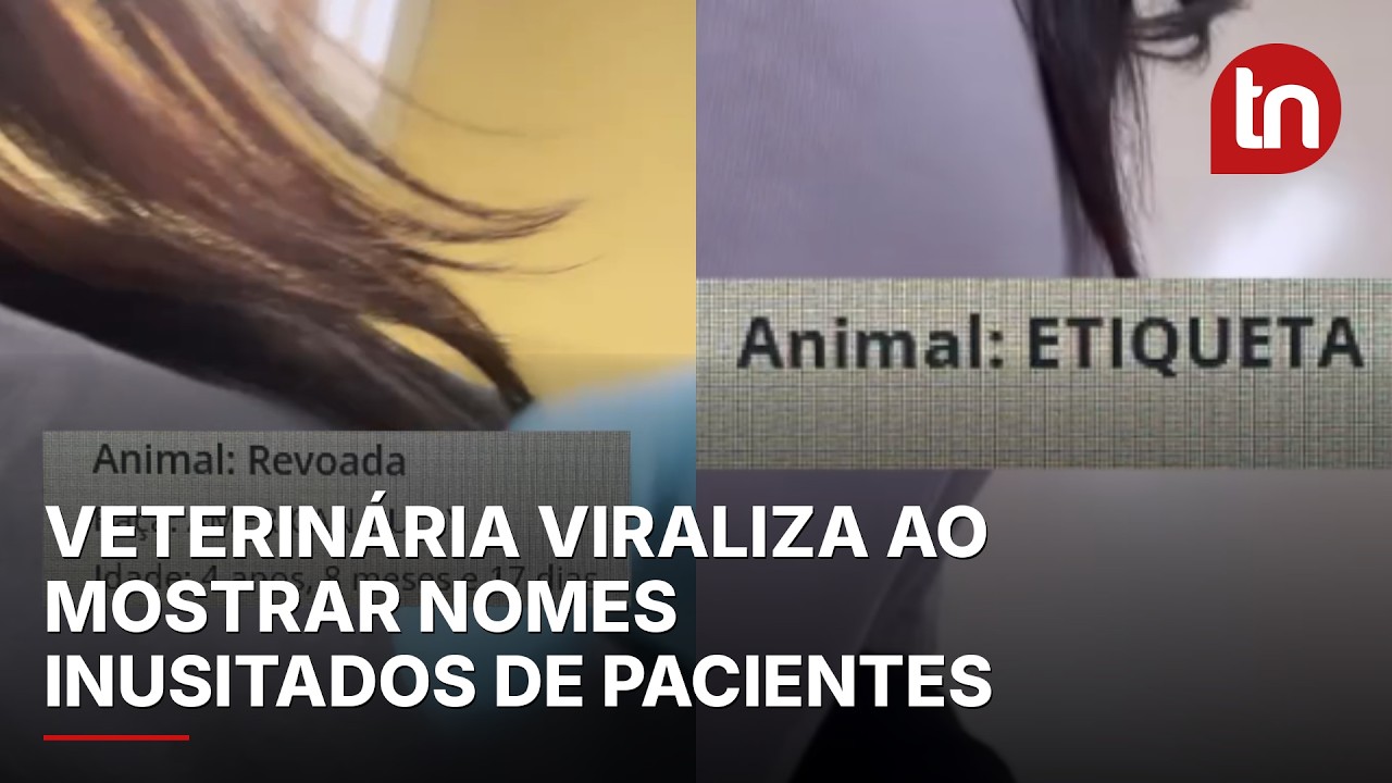 Veterinária viraliza ao mostrar nomes inusitados de pacientes