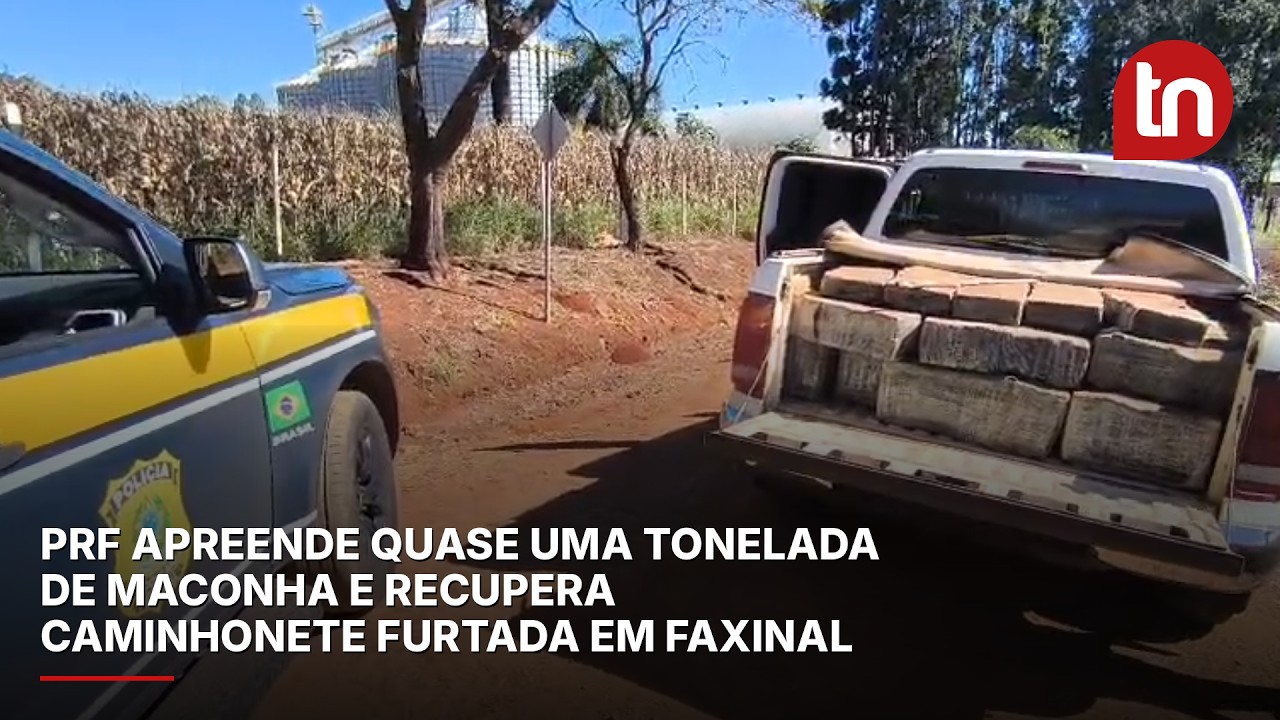 PRF apreende quase uma tonelada de maconha e recupera caminhonete furtada em Faxinal
