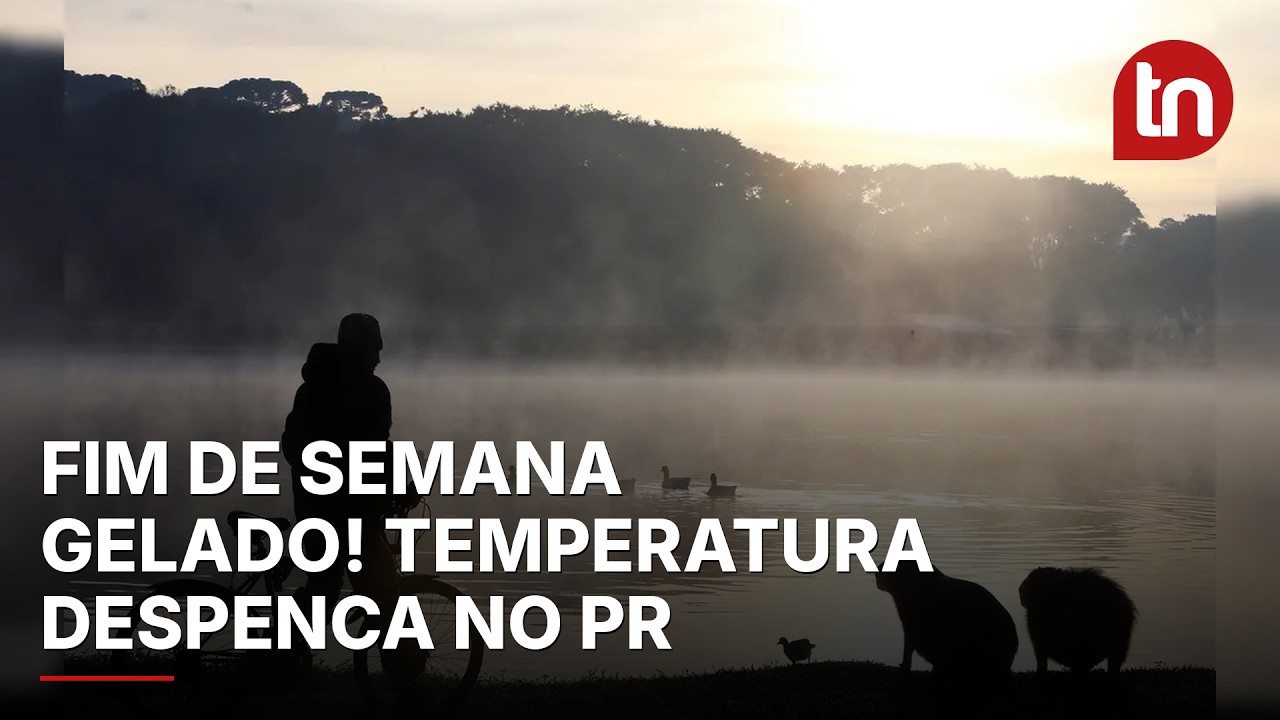 Fim de semana no Paraná deve ter geada e mínimas abaixo de 5 °C, aponta Simepar