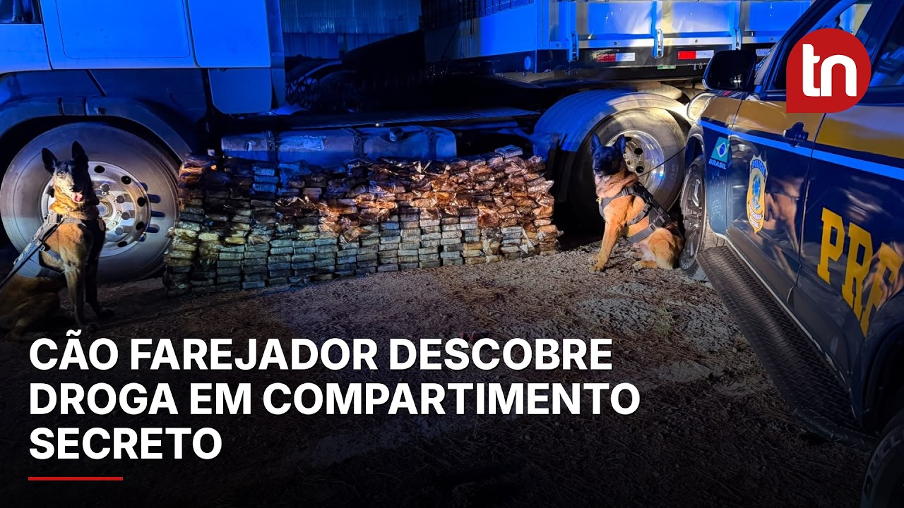 Motorista paraguaio é preso na BR-277 com 298 kg de cocaína em tanque de combustível