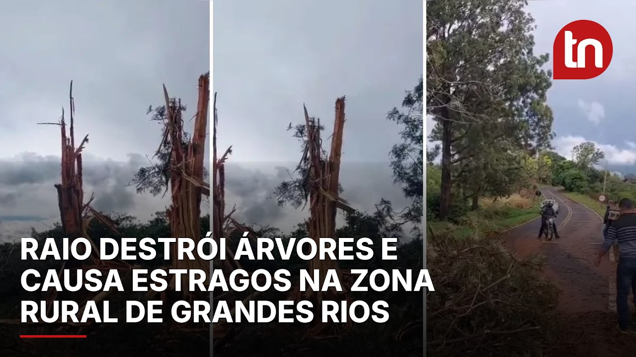 Raio destrói árvores e causa estragos na zona rural de Grandes Rios