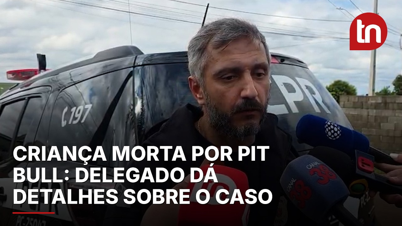 Delegado dá detalhes sobre caso da criança morta por pit bull em Apucarana