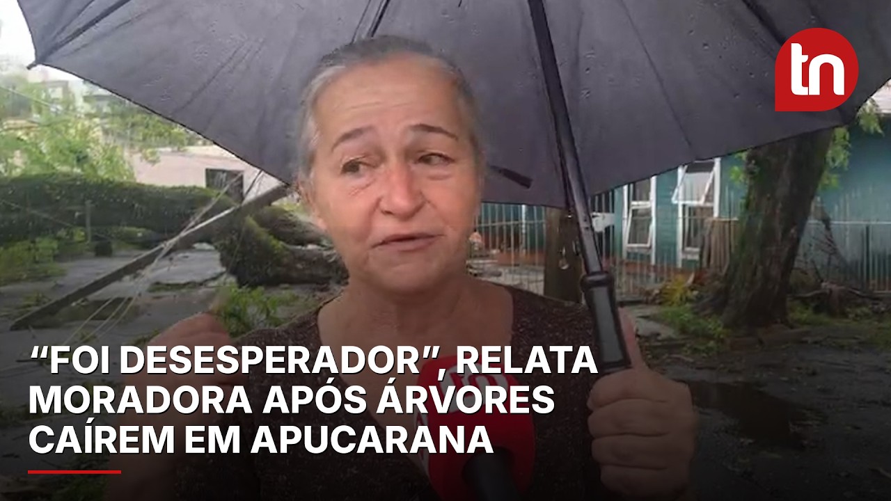 “Foi desesperador”, relata moradora após árvores caírem durante temporal